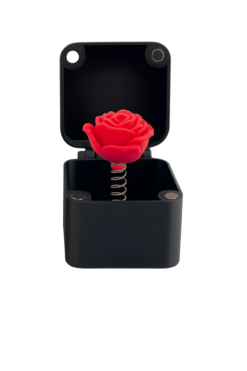 Rosen Box